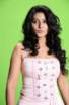 Sneha Spicy Photos